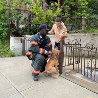 Charles Ntumba Email & Phone Number