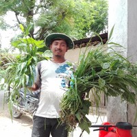 Abhishek Shrestha Email