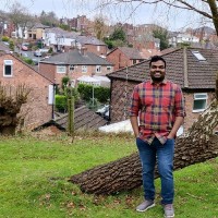 David Gadda's profile photo