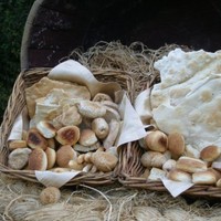 Lexie Khoury Email & Phone Number