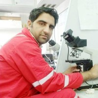 Exlog Global Employee Imran Mehmood's profile photo