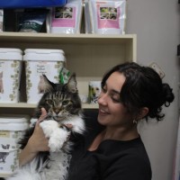 Central Toronto Veterinary Referral/Emergency Clinic Employee Anna Shchipskaya's profile photo