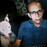 Seth Solomon Email & Phone Number