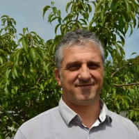 Yumi's Quality Foods Employee Giuseppe Corporente's profile photo