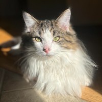 Models Direct Employee Theodore Bracco's profile photo