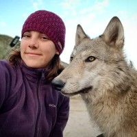 Wolf Connection Employee Renee Alfero's profile photo