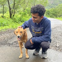 Vetology.net and Vetology.ai Employee Arjun Parvatha's profile photo