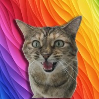 Armarius Software - Data loss prevention and user behavior monitoring Employee Aaron Young's profile photo