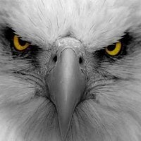 Eric Talbert Email & Phone Number