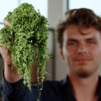 Reindert Devlamynck Email