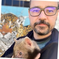 UNICURITIBA Employee George Velastin's profile photo