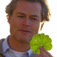 The Blue Economy Employee Gunter Pauli's profile photo