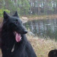 IRO Employee Reijo Hytönen's profile photo