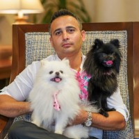 Hamed Cheraghi Email & Phone Number