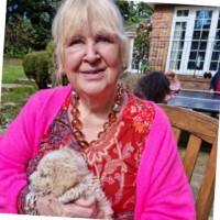 University of Winchester Employee Jane Peacock's profile photo