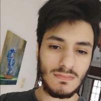 Aldo Aliscioni Email