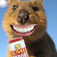 Quality Press Employee Dave Richards's profile photo