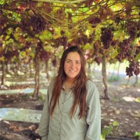 CHEMIE SA Employee Montserrat Barceló's profile photo