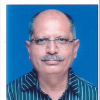 Recycle.Green Employee Viraf Mehta's profile photo