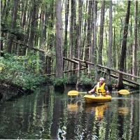TEAMSESCO Industrial & Renewable Technology Services Employee Tony Strickland's profile photo