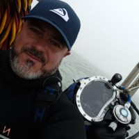 Multisub S.A. Employee Nuno Pereira's profile photo