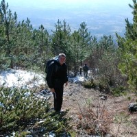 Self Employed Employee Jovan Mitrovic's profile photo
