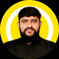Ali Expert Email & Phone Number