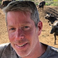 Cordiance Employee Matthew Walsh's profile photo