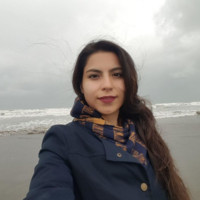Plooto Employee Sanaz Besharati's profile photo