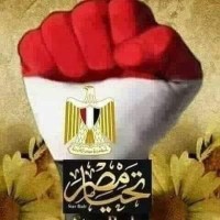 MOBCO Group Employee Ahmed Salim's profile photo