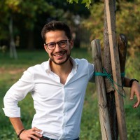 Matteo Mainardi Email