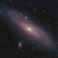 Infinity Data AI Employee Wynand van Staden's profile photo