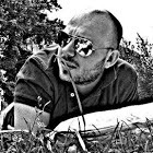 Matteo Domenichetti Email