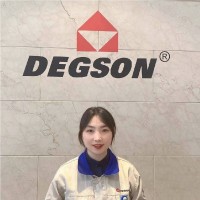 Degson Electronics Co., Ltd Employee Anna Wang's profile photo