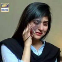 Decent Employee Shaheen Fly's profile photo