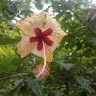 Ampere Employee Karthick Krishna's profile photo