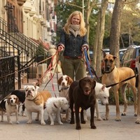 Doner Employee Karen Cathel's profile photo