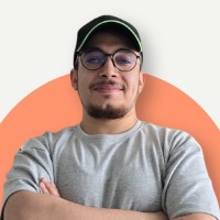 Ahmed Alaa Email