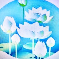 4YP UK Ltd Employee Anne Ridsdale's profile photo