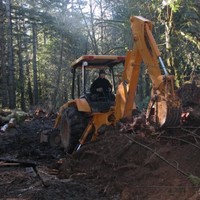 Natural Origins LLC Employee Shane Daugherty's profile photo