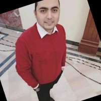 Hossam al Nemr Email