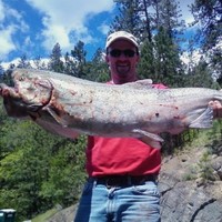 Sowles Steel Erectors and Northwest Tower cranes Employee Buddy Fitzpatrick's profile photo