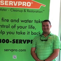 SERVPRO® Team Fabiani Employee Fran McCormick's profile photo