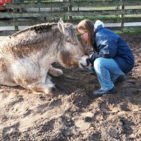 Convenient bv Employee Annemieke Leliveld's profile photo