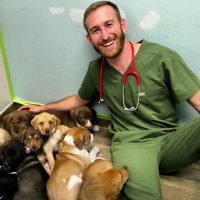 VCA West Los Angeles Animal Hospital Employee Jordan Cole's profile photo