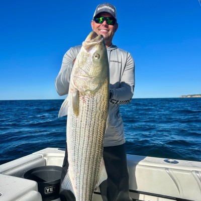 Shimano North America Holding, Inc. Employee Jason Livermore's profile photo