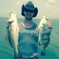 Warren Valve/Warren Valve Engineered Products - Allied Group Companies Employee Charles P's profile photo