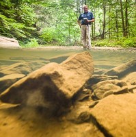 Green Forests Work Employee Chris Barton's profile photo
