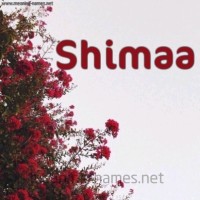 Pollion Employee Shimaa Mustafa's profile photo