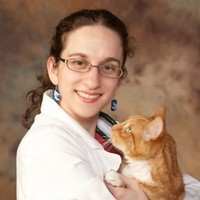 Sara Andre Email & Phone Number